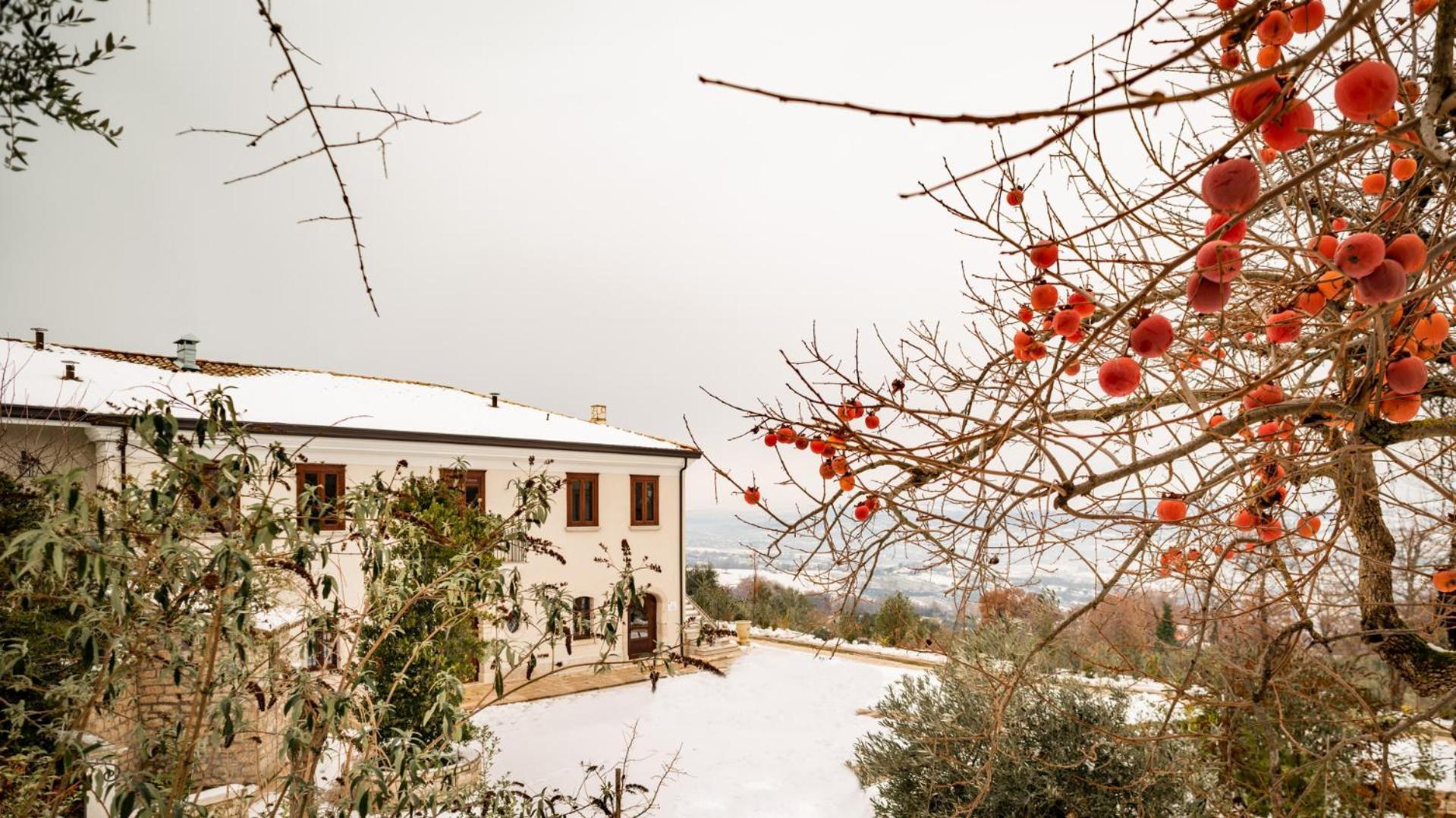 Il Mulino Della Signora Luxury Country House Frigento エクステリア 写真